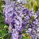 Mustafa KUZUCU Profile Picture