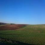 Ömer Faruk Çınar profile picture