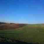 Ömer Faruk Çınar Profile Picture